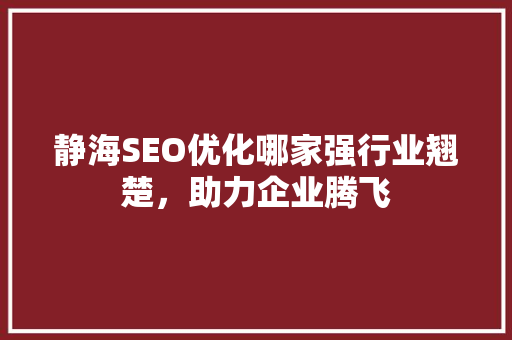 静海SEO优化哪家强行业翘楚，助力企业腾飞
