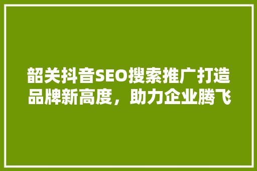 韶关抖音SEO搜索推广打造品牌新高度，助力企业腾飞