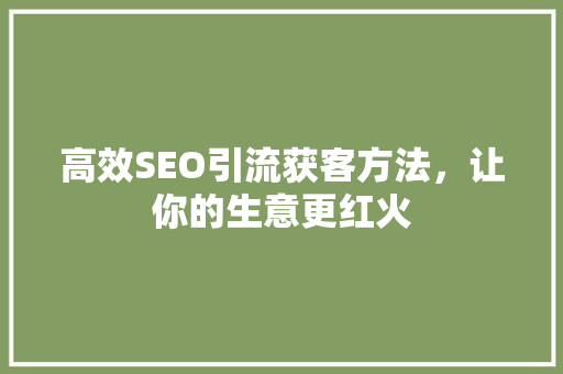 高效SEO引流获客方法，让你的生意更红火