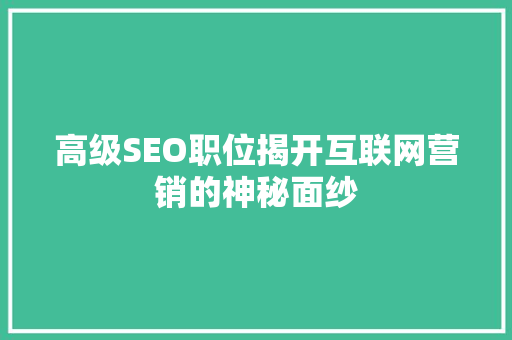 高级SEO职位揭开互联网营销的神秘面纱