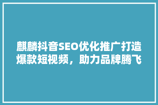 麒麟抖音SEO优化推广打造爆款短视频，助力品牌腾飞
