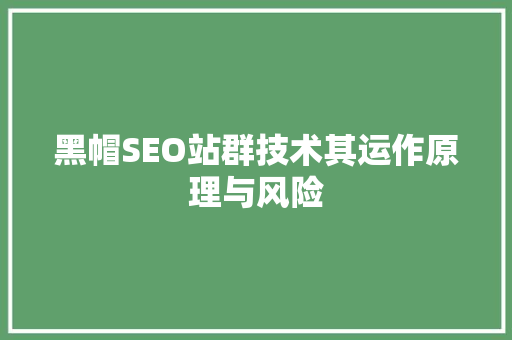 黑帽SEO站群技术其运作原理与风险