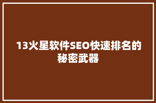 13火星软件SEO快速排名的秘密武器