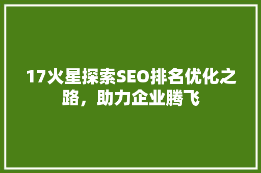 17火星探索SEO排名优化之路，助力企业腾飞