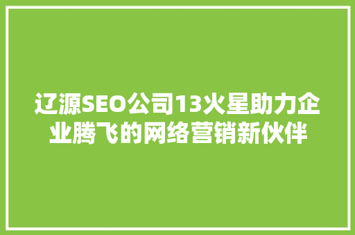 辽源SEO公司13火星助力企业腾飞的网络营销新伙伴