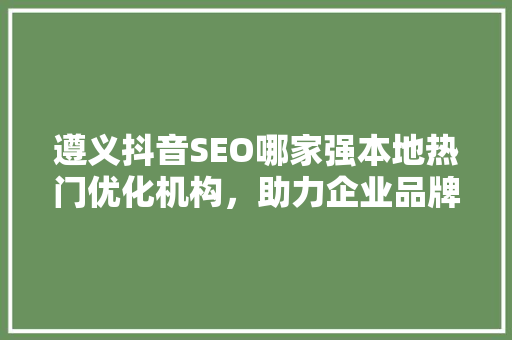 遵义抖音SEO哪家强本地热门优化机构，助力企业品牌腾飞
