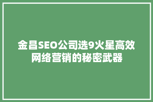 金昌SEO公司选9火星高效网络营销的秘密武器