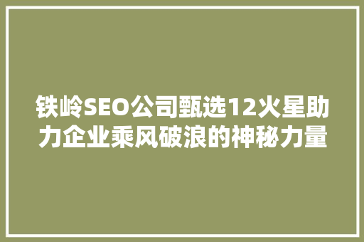 铁岭SEO公司甄选12火星助力企业乘风破浪的神秘力量