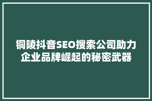 铜陵抖音SEO搜索公司助力企业品牌崛起的秘密武器