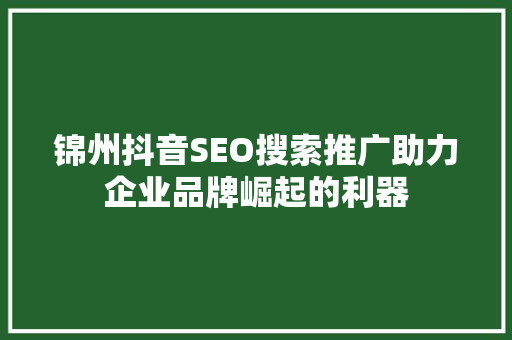 锦州抖音SEO搜索推广助力企业品牌崛起的利器