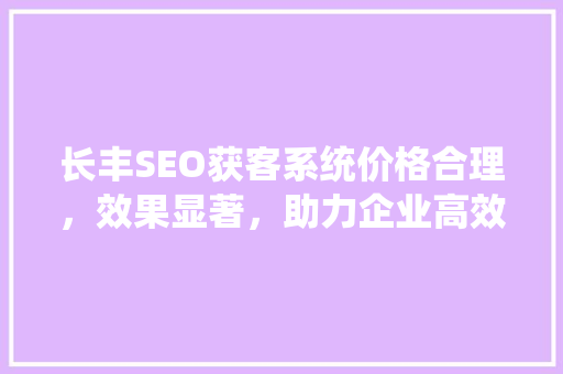 长丰SEO获客系统价格合理，效果显著，助力企业高效获客
