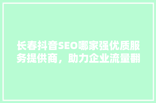 长春抖音SEO哪家强优质服务提供商，助力企业流量翻倍