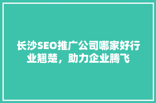 长沙SEO推广公司哪家好行业翘楚，助力企业腾飞