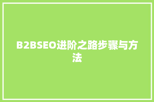 B2BSEO进阶之路步骤与方法