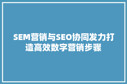 SEM营销与SEO协同发力打造高效数字营销步骤