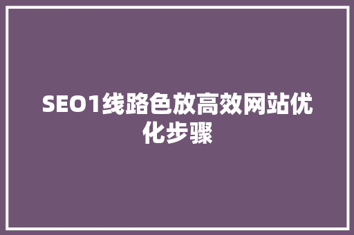 SEO1线路色放高效网站优化步骤