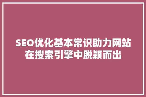 SEO优化基本常识助力网站在搜索引擎中脱颖而出