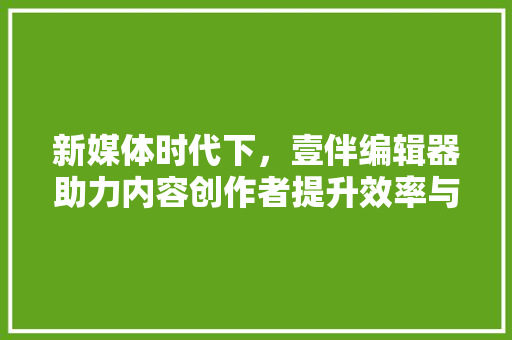 新媒体时代下，壹伴编辑器助力内容创作者提升效率与品质