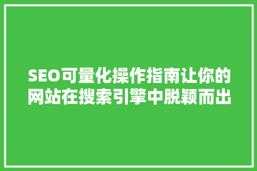 SEO可量化操作指南让你的网站在搜索引擎中脱颖而出