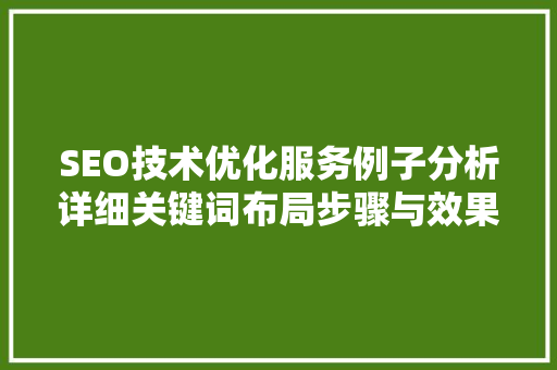 SEO技术优化服务例子分析详细关键词布局步骤与效果
