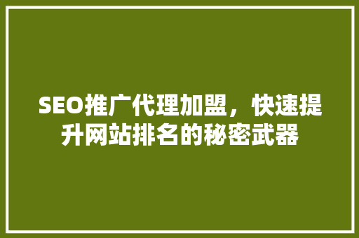 SEO推广代理加盟，快速提升网站排名的秘密武器