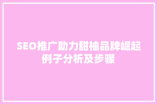 SEO推广助力甜柚品牌崛起例子分析及步骤