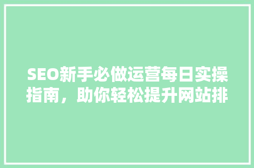 SEO新手必做运营每日实操指南，助你轻松提升网站排名