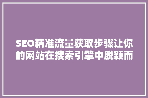 SEO精准流量获取步骤让你的网站在搜索引擎中脱颖而出