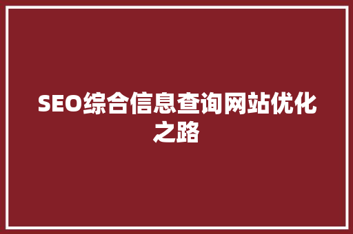 SEO综合信息查询网站优化之路