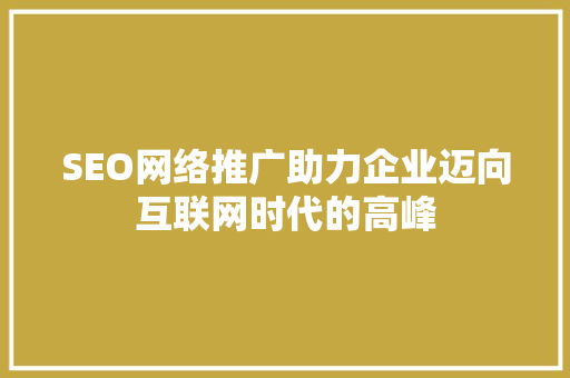 SEO网络推广助力企业迈向互联网时代的高峰