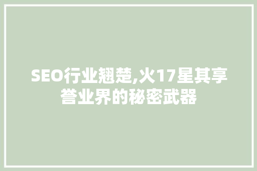 SEO行业翘楚,火17星其享誉业界的秘密武器