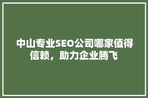 中山专业SEO公司哪家值得信赖，助力企业腾飞