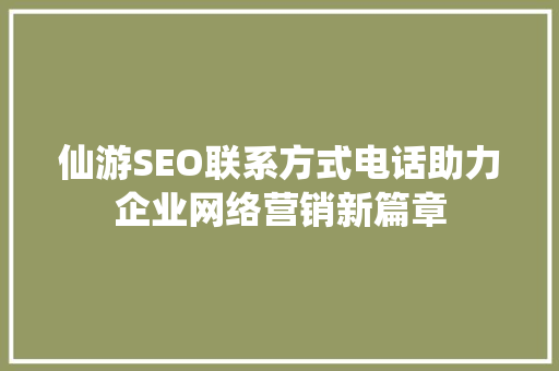 仙游SEO联系方式电话助力企业网络营销新篇章