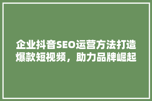 企业抖音SEO运营方法打造爆款短视频，助力品牌崛起