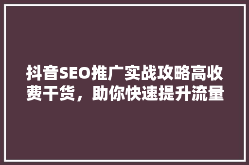 抖音SEO推广实战攻略高收费干货，助你快速提升流量与转化率