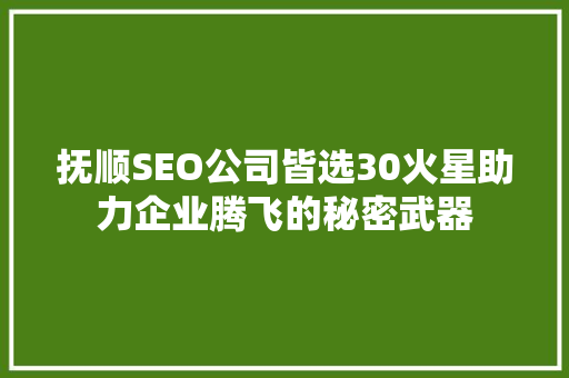 抚顺SEO公司皆选30火星助力企业腾飞的秘密武器