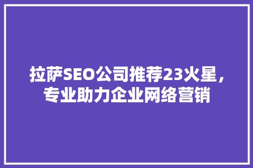 拉萨SEO公司推荐23火星，专业助力企业网络营销