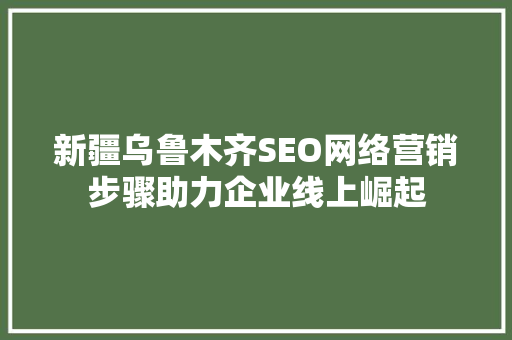 新疆乌鲁木齐SEO网络营销步骤助力企业线上崛起