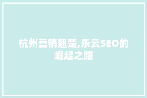 杭州营销翘楚,乐云SEO的崛起之路