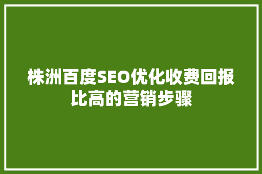 株洲百度SEO优化收费回报比高的营销步骤