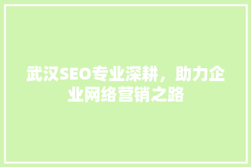 武汉SEO专业深耕，助力企业网络营销之路