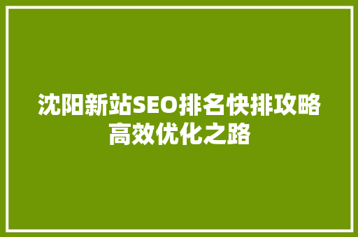 沈阳新站SEO排名快排攻略高效优化之路
