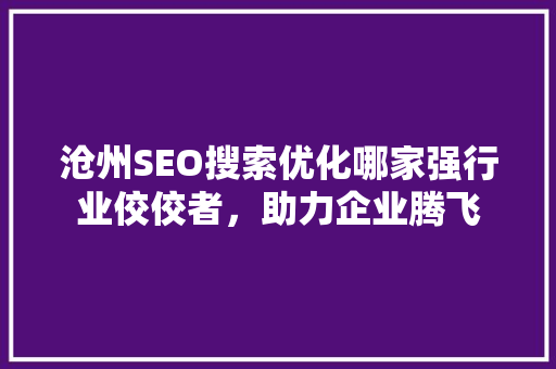 沧州SEO搜索优化哪家强行业佼佼者，助力企业腾飞