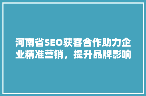 河南省SEO获客合作助力企业精准营销，提升品牌影响力