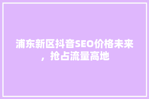 浦东新区抖音SEO价格未来，抢占流量高地