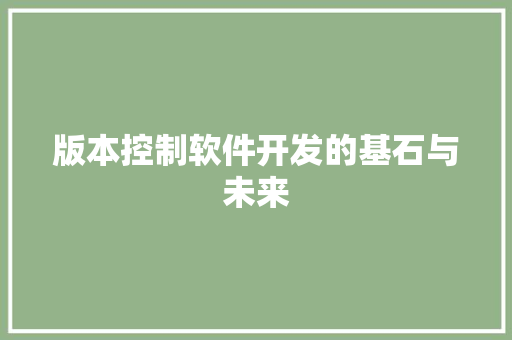 版本控制软件开发的基石与未来
