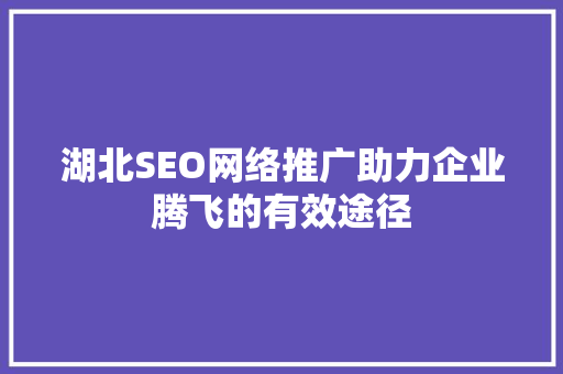 湖北SEO网络推广助力企业腾飞的有效途径