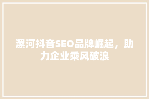 漯河抖音SEO品牌崛起，助力企业乘风破浪