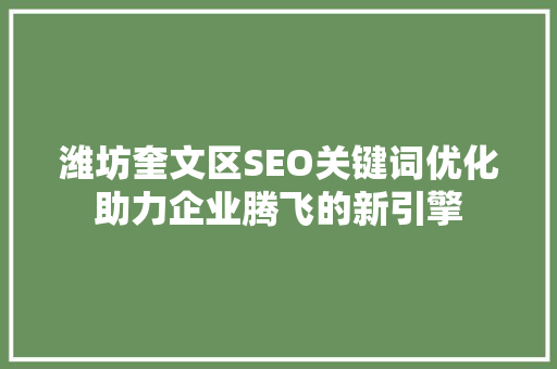 潍坊奎文区SEO关键词优化助力企业腾飞的新引擎