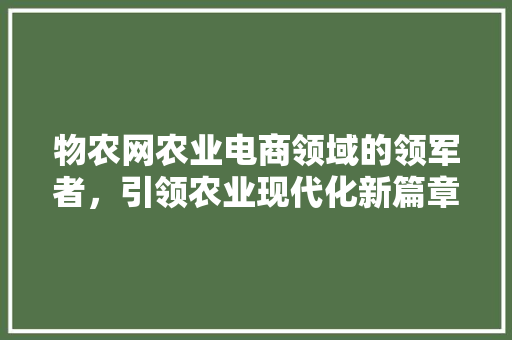 物农网农业电商领域的领军者，引领农业现代化新篇章
